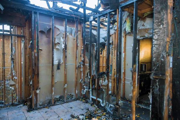Professional Soot Cleanup technician working in Wallis, TX